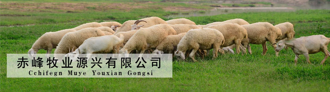 無(wú)憂商務(wù)