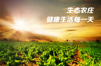 農(nóng)莊商城【獨立商城】網(wǎng)站案例