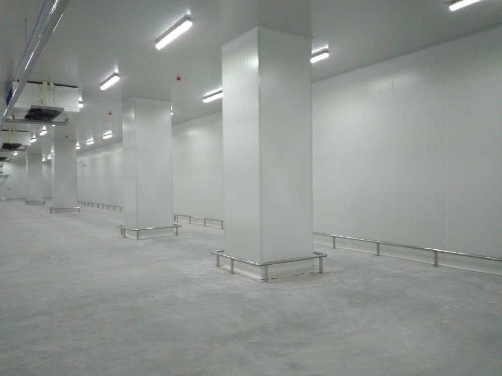 建造200噸的肉類冷鏈冷凍庫如何做好規(guī)劃設(shè)計？
