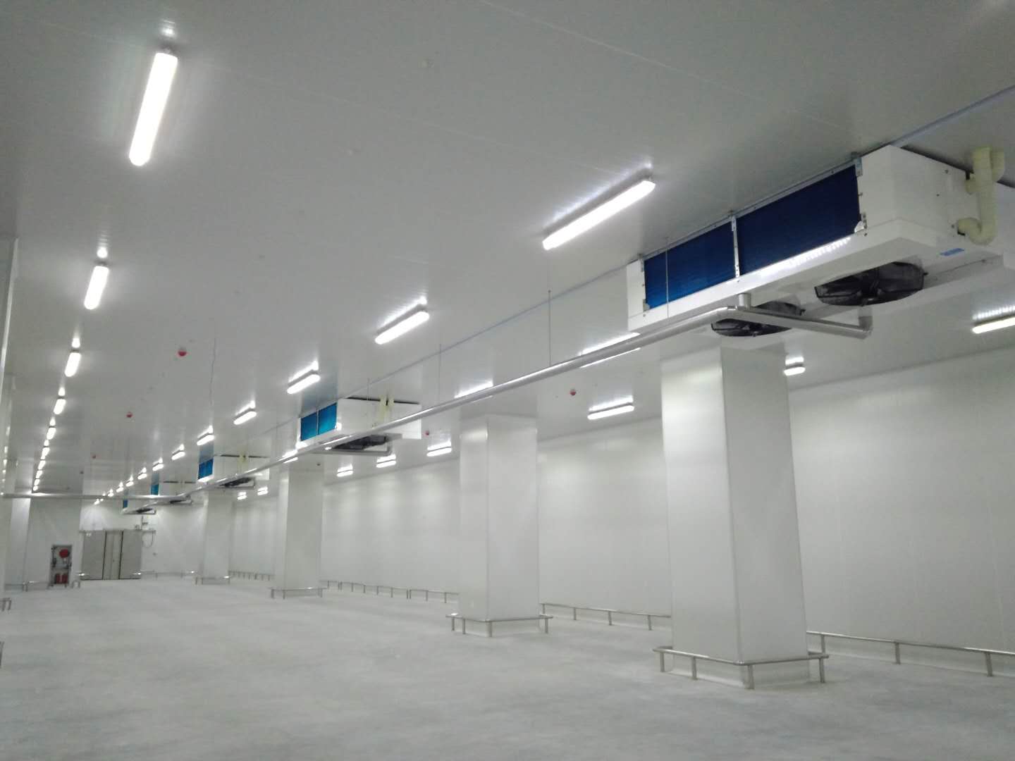 建造40000㎡低溫冷藏庫需要的費用是多少？