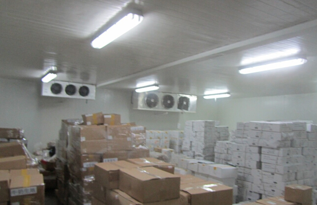 1000平肉類冷凍庫造價多少錢，低溫凍肉冷庫建造